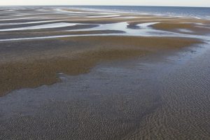 Hervey Bay at low tide