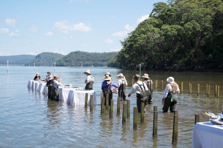 In-water dining on oysters in the Hawkesbury River