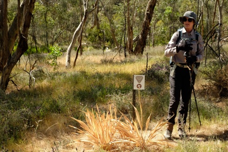 Guided walk in the Clare Valley