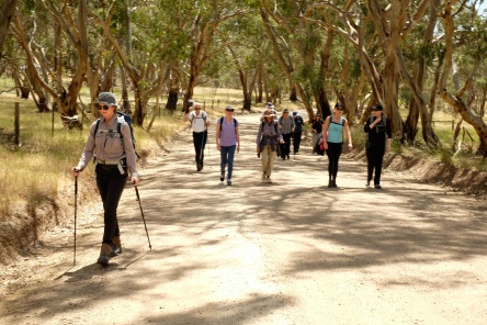 Warming up on the Clare Valley Wine and wilderness trail