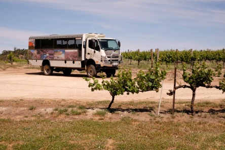 Life's an adventure Clare Valley walk