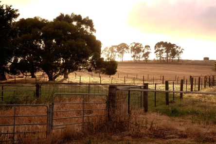 Clare Valley Wine and Wilderness Trail