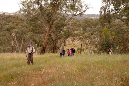 The Clare Valley Wine and Wilderness trail