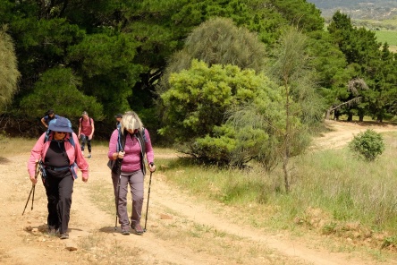 Climbing on day one of a three day pack free walk in the Clare Valley