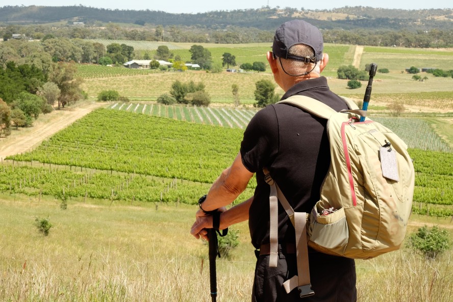 The Clare Valley Wine and Wilderness Trail