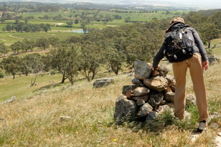 Walking in the Clare Valley