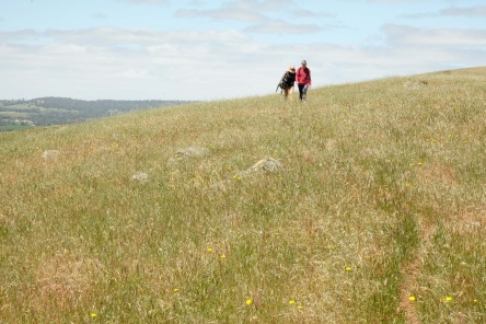 Walking the Clare Valley Wine and Wilderness Trail