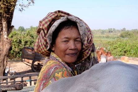 Ox Cart excursion in a Cambodian Village