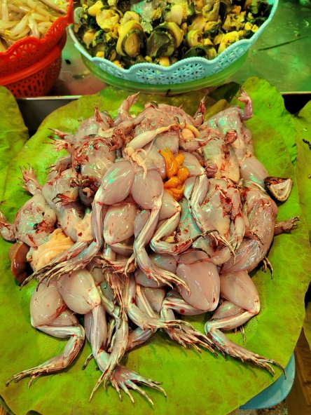 Discovering a local market on a cruise from Siem Reap to Ho Chi Minh City with CF Mekong New Discovery Cruise