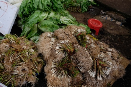 Leeks ready to marinate for Lunar New Year Sa Dec Market