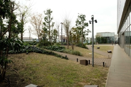 Shibuya Parco Rooftop Garden