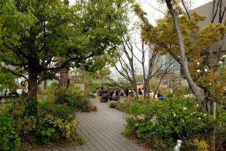 Rooftop garden omohara forest Tokyu Plaza 