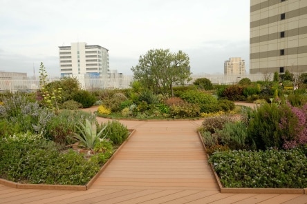 Artre Ebisu Rooftop Garden