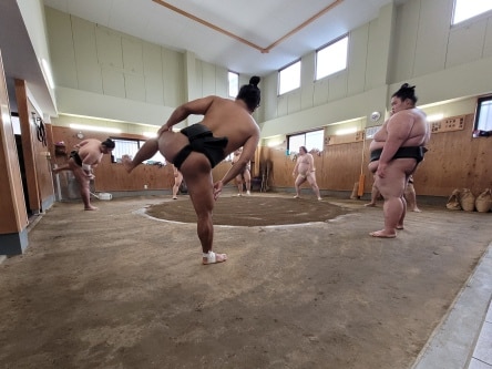 Sumo training