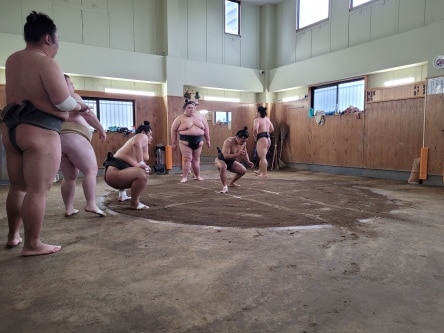 Sumo training