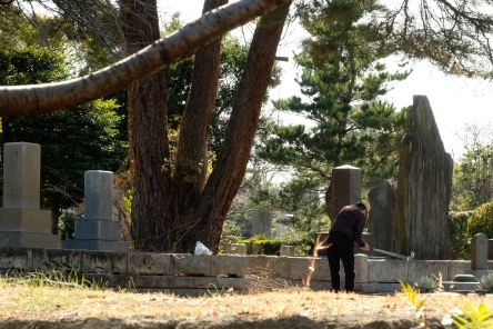 Aoyama Cemetery