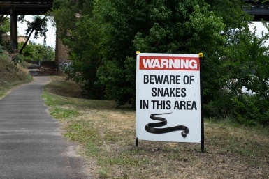 Beware of Snakes