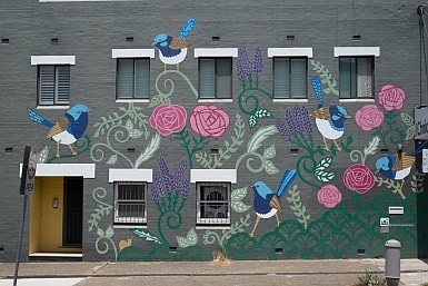 Fairy Wren Street Mural