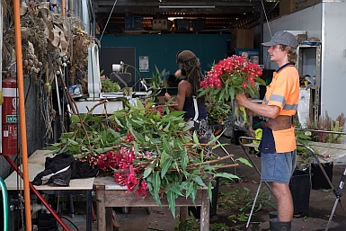 Preparing bunches of Wildflowers