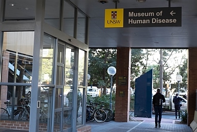 Museum of Human Diseases UNSW