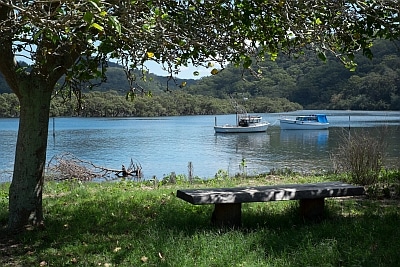 Looking through the trees to Patonga Creek