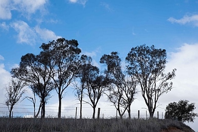 Broken Hill to Sydney via Orange