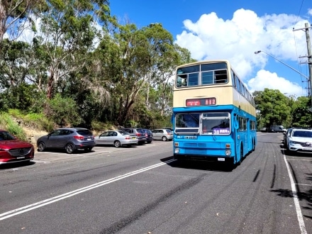 Hong Kong Buses get an outing in Sydney