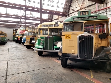 The Sydney Bus Museum displays over 70 buses in a restored Tramshed in Leichhardt