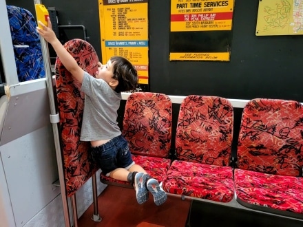 Exploring the exhibits in the Sydney Bus Museum