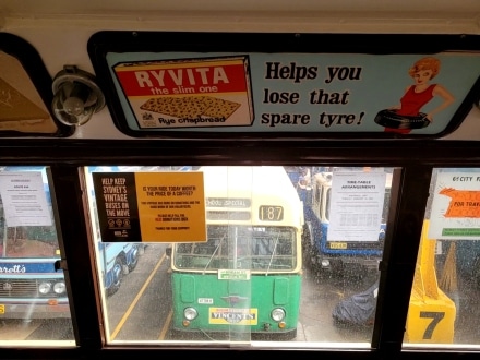 View across the buses on display at the Sydney Bus Museum