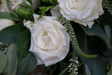 White Rose and Veronica Flowers