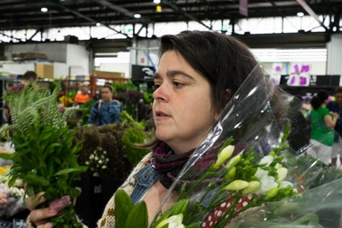 Choosing Flowers at Sydney Market