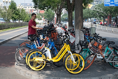 Sharing Bicycles in Beijing